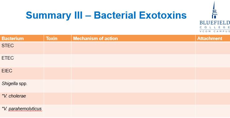 <p>Bacterial Exotoxins</p>