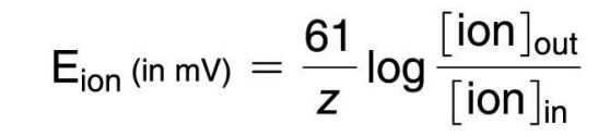 <p>The Nernst equation  measures the membrane potential a single ion would produce if the membrane was only permeable to that one ion. </p><p>Components include:</p><p>Gas constant (R =61)</p><p>Ion charge (z)</p><p>Ion concentrations (inside and outside the cell)</p>