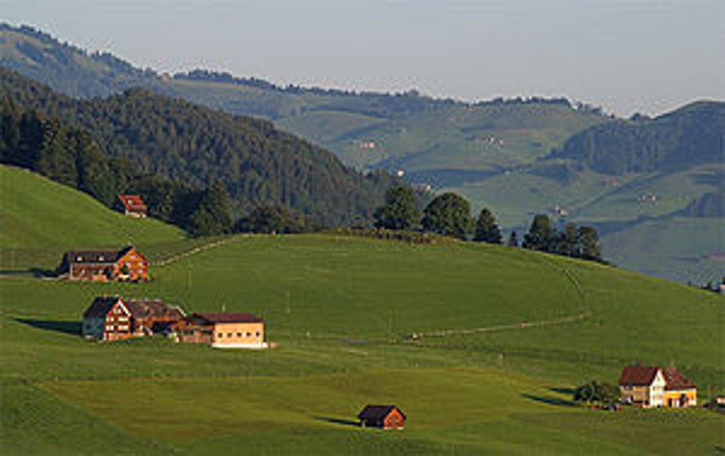 <p>individual farmhouses exist in isolated distribution (where land is cultivated by machine rather than by hand)</p>