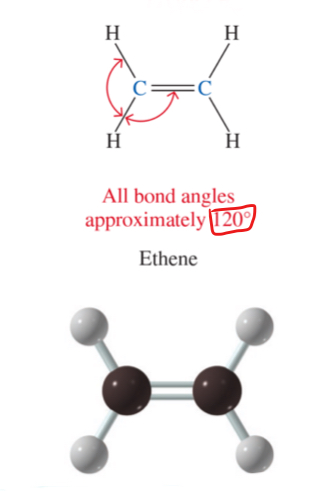 <p>all bond angles approximately 120<span style="font-family: Roboto, sans-serif">°</span></p>