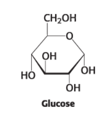 <ul><li><p>It could have been available for prehistoric conditions </p></li><li><p>Most stable hexose because of the hydroxyl groups and hydroxymethyl group in equatorial position and minimizing steric clashes </p></li><li><p>Stability allows for efficient energy extraction during glycolysis and cellular respiration, making it the primary energy source for cellular functions. </p></li></ul><p></p>