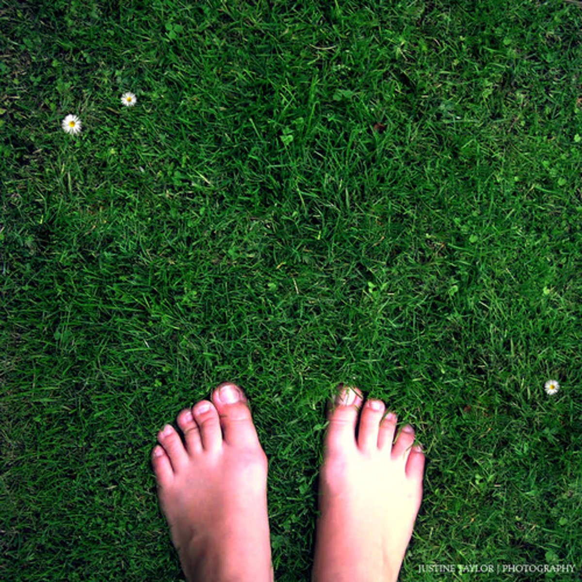 <p>to be practical and able to take care of yourself (sống thực tế)</p>