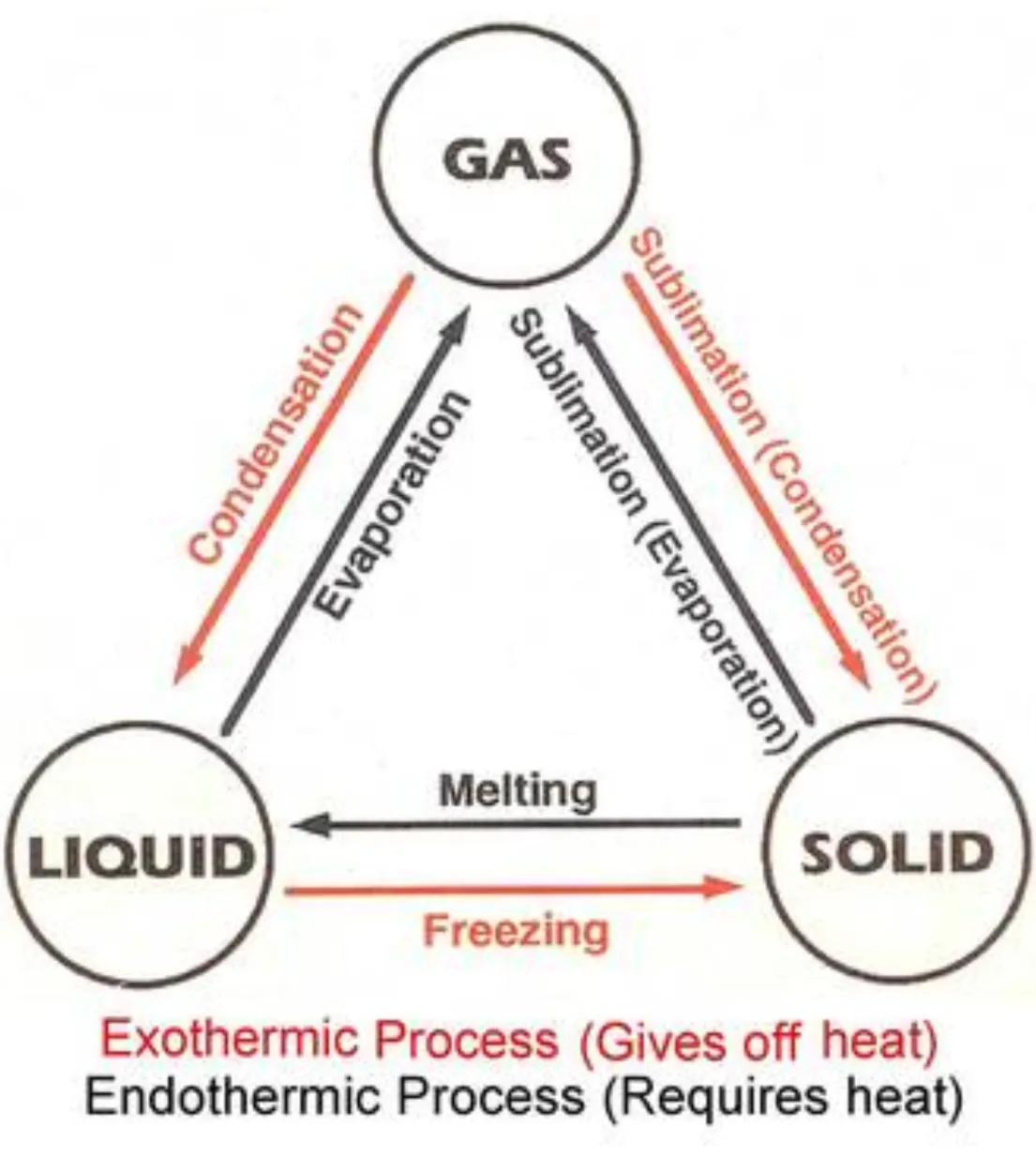 <ol><li><p>Solid to liquid: freezing - exothermic</p></li><li><p>Liquid to solid: melting - endothermic</p></li><li><p>Liquid to gas: evaporation (at any temperature and on the surface of the liquid) - exothermic</p></li><li><p>Liquid to gas: boiling (at a specific temperature and throughout the liquid) - endothermic</p></li><li><p>Gas to liquid: condensation - exothermic</p></li></ol><p></p>