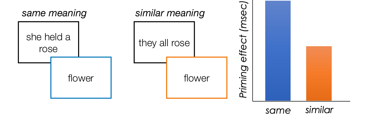 <p>respond faster to probe words that have the same or similar meaning to the priming sentence</p>