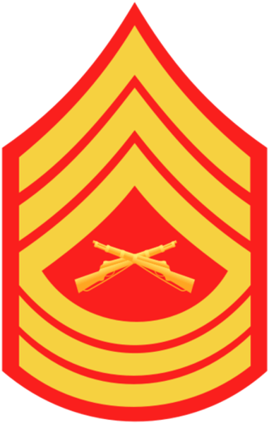 <p>3 Stripes over crossed rifles over three rockers</p>