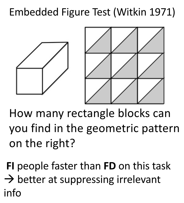 <ul><li><p>Field-dependent vs. Field independent (FD vs. FI)</p><ul><li><p>When manifested in perceptual processing: Context-dependent vs. Context-independent</p></li><li><p>When manifested in personality: Dependent vs. Autonomous</p></li></ul></li></ul><p></p>