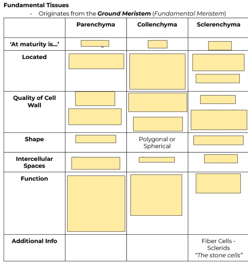 <p>Polygonal or Spherical</p>