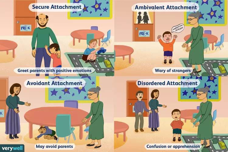 <p>-secure: moderate distress, happy when CG back </p><p>-avoidant: apathy in both situations</p><p>-ambivalent: intense distress, apathy or not soothes with CG</p><p>-disorganized: disorientation, reject and/or approach CG</p>