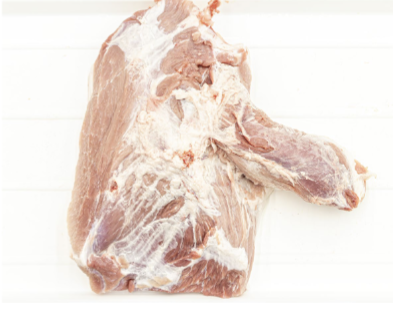 <p>Primary muscle</p>