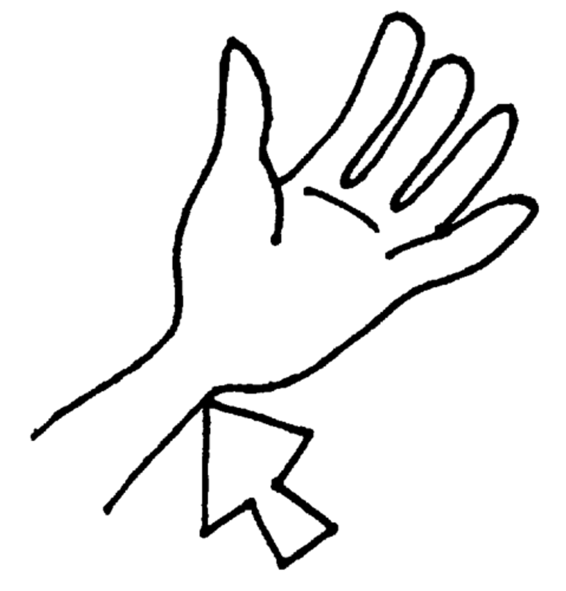 <p>wrist</p>