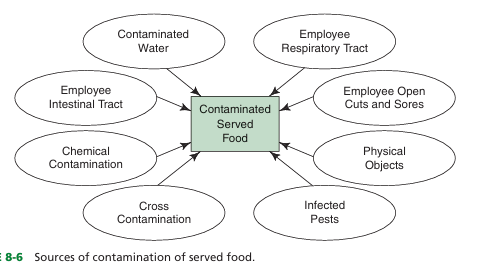 <ul><li><p>contaminated water </p></li><li><p>employee respiratory tract </p></li><li><p>employee open cuts and sores</p></li><li><p>physical objects</p></li><li><p>infected pests</p></li><li><p>cross contamination</p></li><li><p>chemical contamination</p></li><li><p>employee intestinal trac</p></li></ul><p></p>