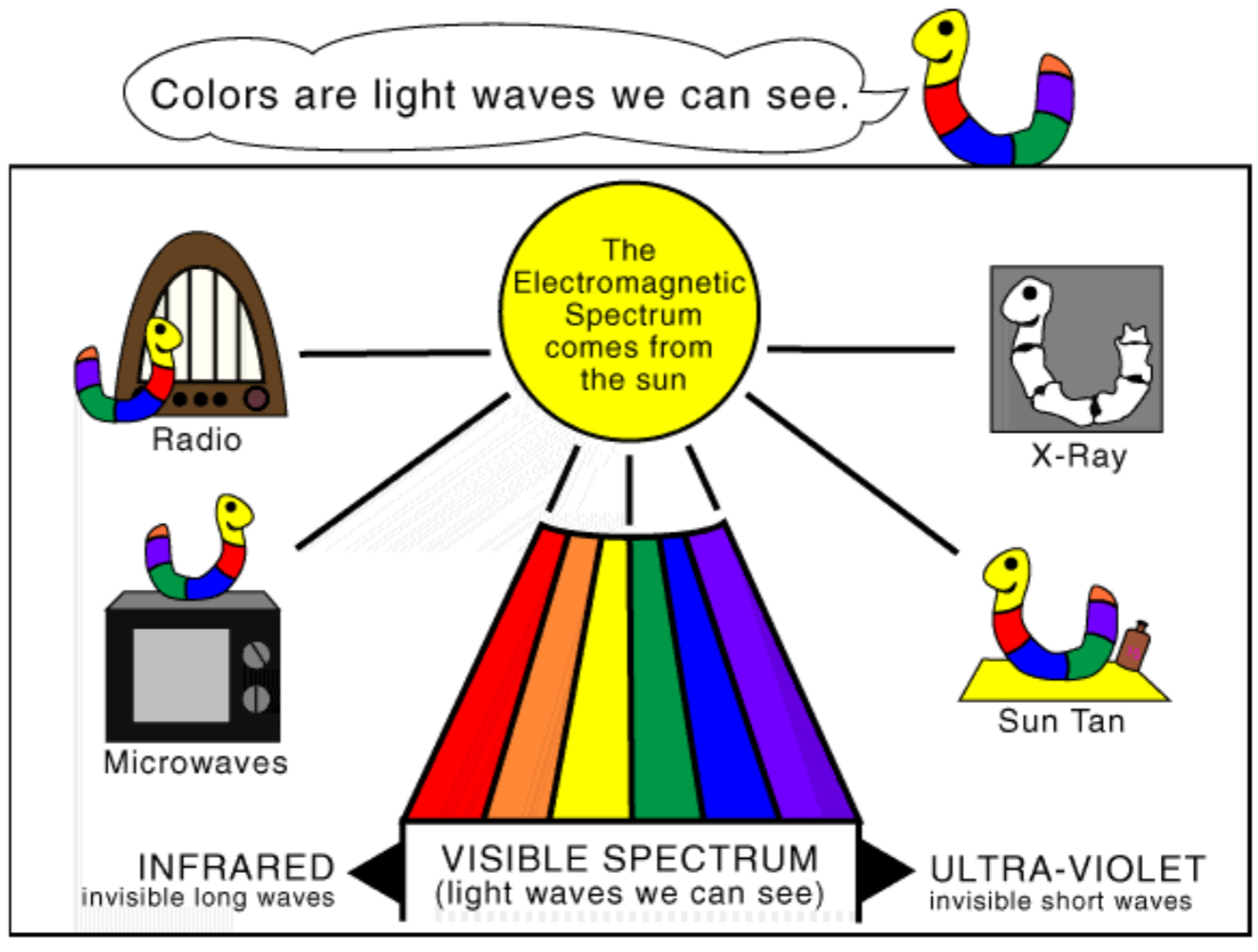 <ul><li><p>The color something appears is the light that is reflected off of it</p></li><li><p>Light waves=energy from environment</p></li></ul><p></p>