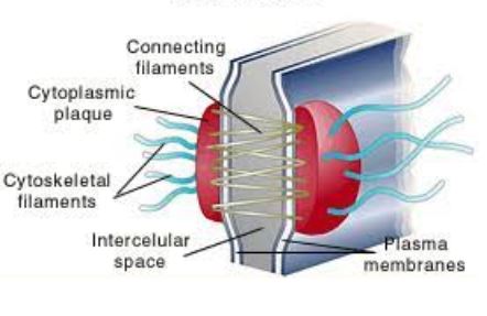 <p>What is this an image of?</p>