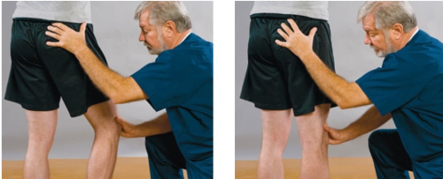 <p>Assessment for:</p><p>- Hamstring tightness</p>