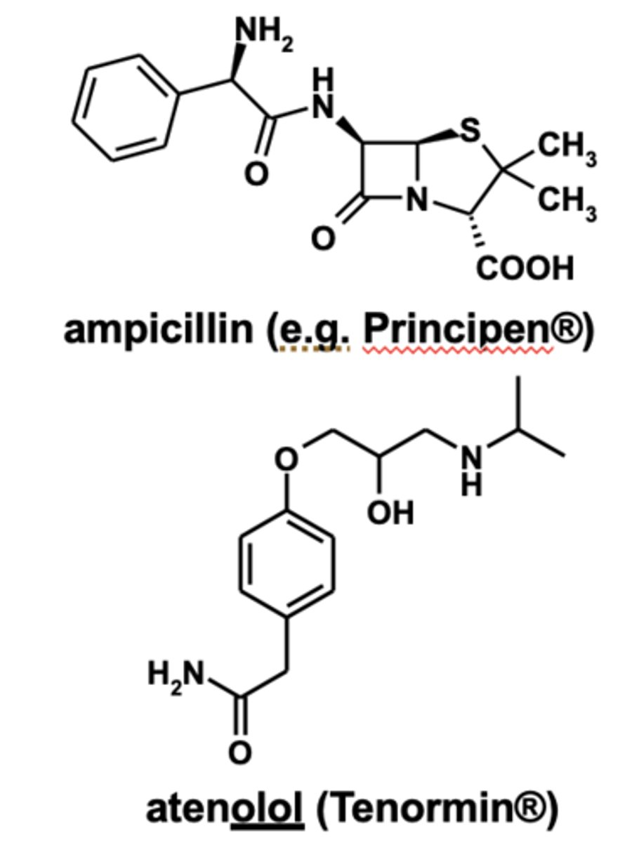 <p>- <strong>vancomycin</strong></p><p>- <strong>aten<span style="text-decoration:underline">olol</span></strong></p><p>- <strong>ampicillin</strong> </p>