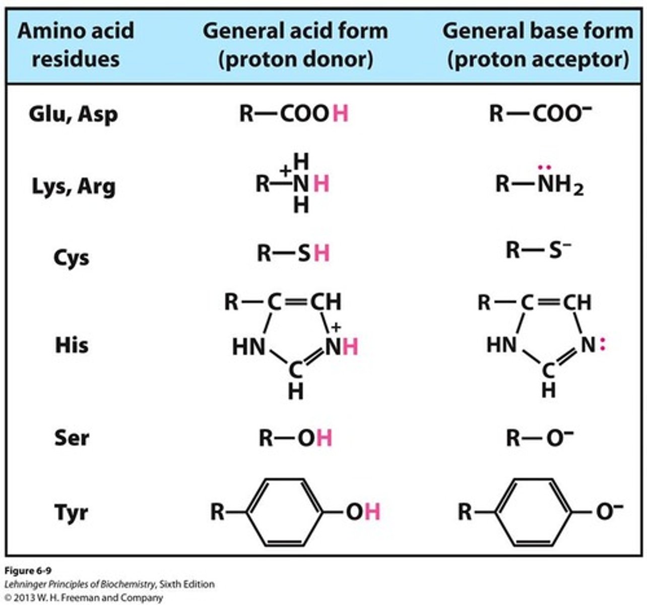 <p>A substance that decreases the hydrogen ion concentration in a solution, while increasing the hydroxide ion (OH-) concentration.</p>