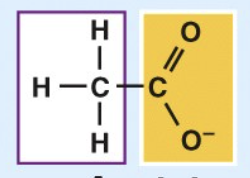 <ul><li><p>acidic</p></li><li><p>carboxylic acids</p></li><li><p>Ionizes in living tissues to form COO⁻ and H⁺</p></li><li><p>Enters into condensation reactions by giving up its —OH group. </p></li><li><p>Some important in energy-releasing reactions.</p></li></ul><p></p>