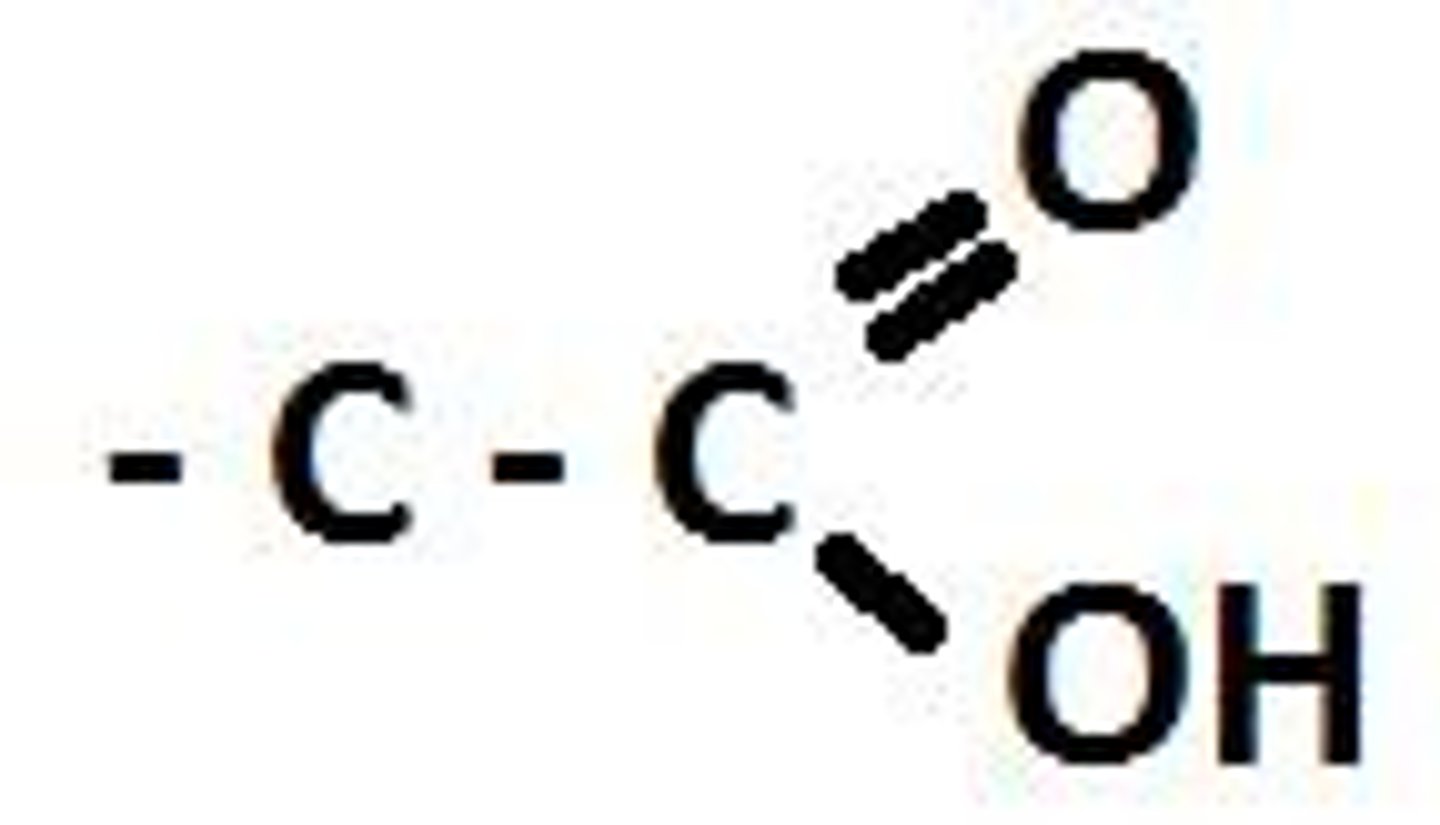 <p>The carboxyl group can release protons (H+).</p>