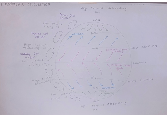 <p><strong>Key Features:</strong></p><p>The large-scale movement of air and is responsible for the distribution of thermal energy across the Earths surface. 3 atmospheric cell which circle the planet:</p><p class="MsoListParagraphCxSpMiddle">-The Hadley cell - 30-40 degrees north and south of the equator and moves heat energy away from the equator, producing high pressure regions.</p><p class="MsoListParagraphCxSpMiddle">-The Polar cells are located at the poles (60 degrees+ N/S) creating high-pressure zones and very cold conditions.</p><p class="MsoListParagraphCxSpMiddle">-The Ferrel cells are situated between the other cells. It creates low-pressure areas at the surface and high-pressure areas aloft, and acts life a gear by moving in opposite directions to other cells.</p><p>-The Coriolis effect occurs as winds are deflected from a straight path to a curved path due to the Earth’s rotation, leading to prevailing westerly and south-westerly winds.</p><p class="MsoNormal"><strong>Influence on climate</strong></p><p>Controls distribution of thermal energy and moisture across the Earth’s surface, influencing cloud and precipitation. Low pressure is associated with unstable, inclement weather, with a chance of rain or storms. High pressures associated with fine, stable conditions with clear skies.</p>