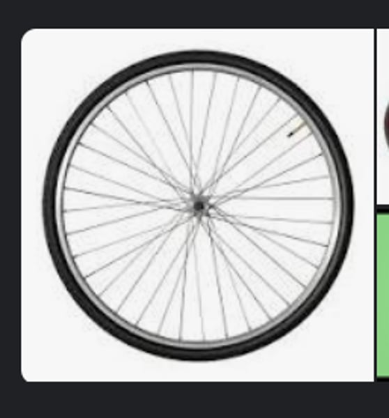 <p>the thin metal rods that connect the outer rim of a bicycle wheel to the central hub</p>