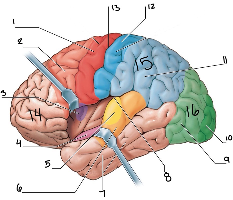 <p>What is 11</p>