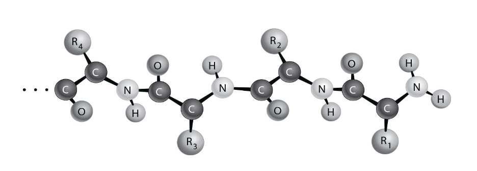 <p><span style="color: #ffffff">Figure 2.2 depicts the_________________structure of a protein.</span></p>