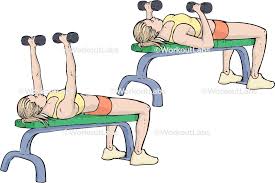 <ul><li><p>Pectoralis Major </p></li><li><p>Anterior Deltoid</p></li><li><p>Triceps Brachii</p></li></ul><p></p>