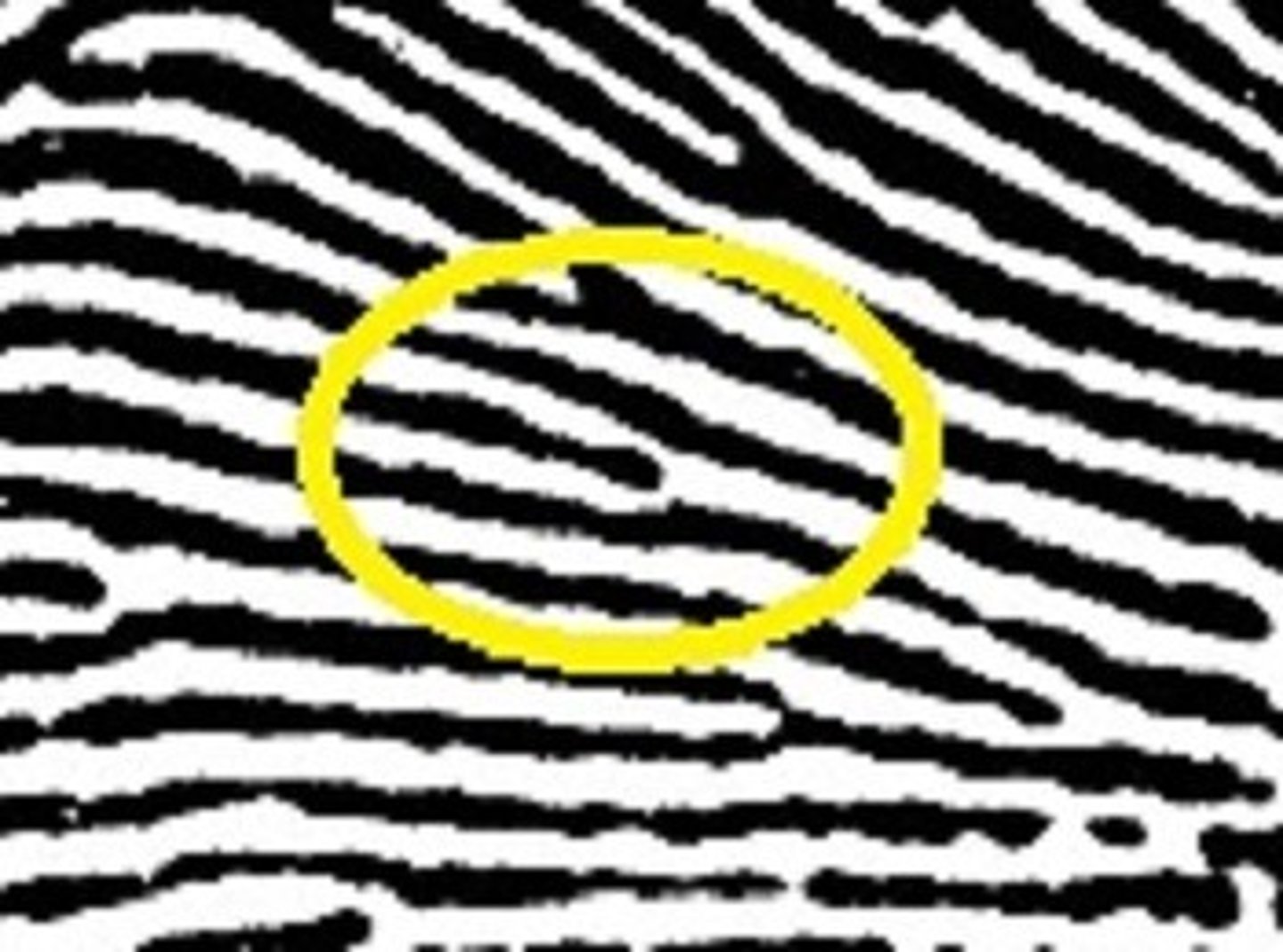 <p>Any place where a ridge stops</p>