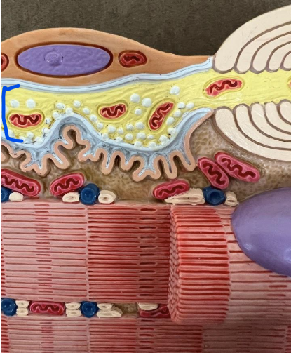 <p>What is this?</p>