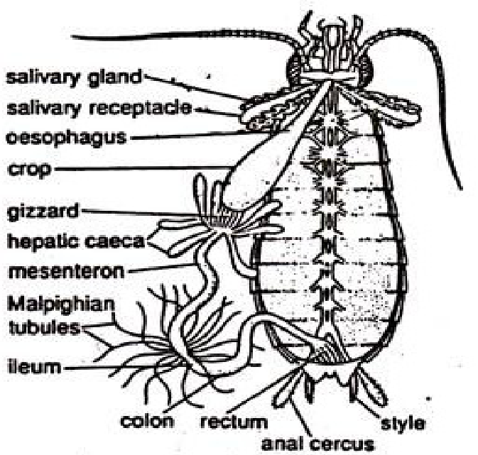 <p>What are the things we were dissecting out?</p>
