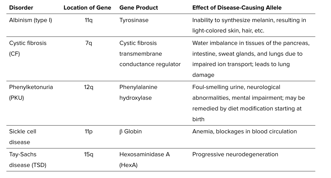 <ul><li><p>typically disorders that involve defective enzymes</p><ul><li><p>the heterozygote carrier has 50% of the functional enzyme</p><ul><li><p>sufficient for a healthy (unaffected) phenotype</p></li></ul></li></ul></li><li><p>hundreds of genetic diseases are inherited in this manner</p><ul><li><p>in many cases, the mutant genes responsible have been ID’ed and characterized</p></li></ul></li><li><p>ex., </p><ul><li><p>albinism (tyrosinase)</p></li><li><p>cystic fibrosis (CFTR- a chloride transporter)</p></li><li><p>phenylketonuria PKU (phenylalanine hydroxylase)</p></li><li><p>sickle cell disease (beta globin)</p></li><li><p>tay sacs (hexosaminidase A)</p></li></ul></li></ul><p></p>