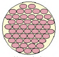 overproduction of cells