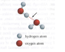 <p>The arrow in the drawing points to a(n)</p><ul><li><p><strong>a. </strong>ionic bond</p></li><li><p><strong>b. </strong>covalent bond</p></li><li><p><strong>c. </strong>hydrogen bond</p></li><li><p><strong>d. </strong>hydrophobic interaction</p></li></ul>