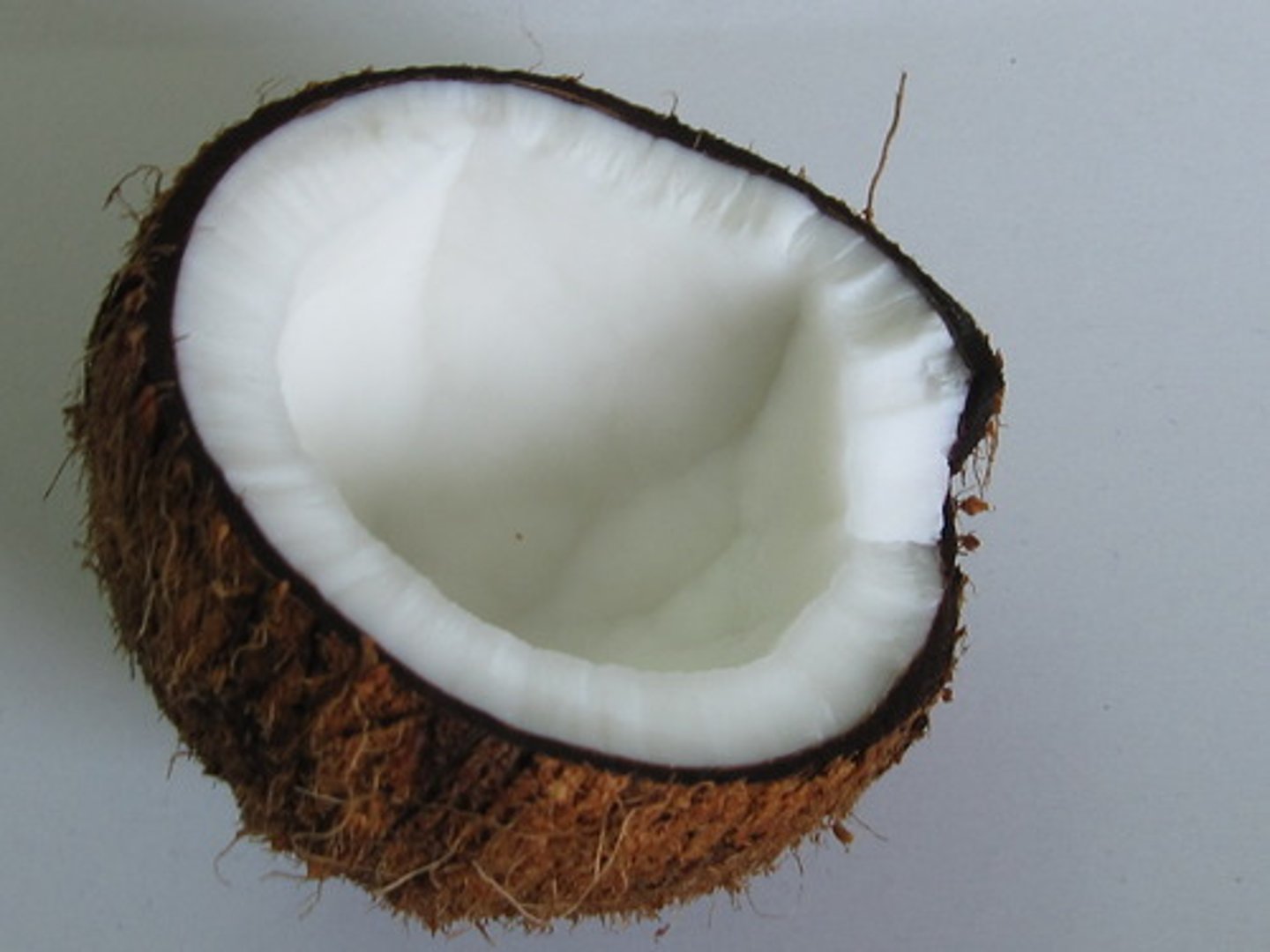 <p>coconut</p>