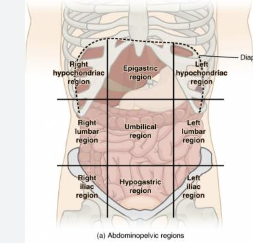 <p><span>😆</span></p><p><span>*think brother </span><strong><span>EUH </span></strong><span data-name="zany" data-type="emoji">🤪</span></p>