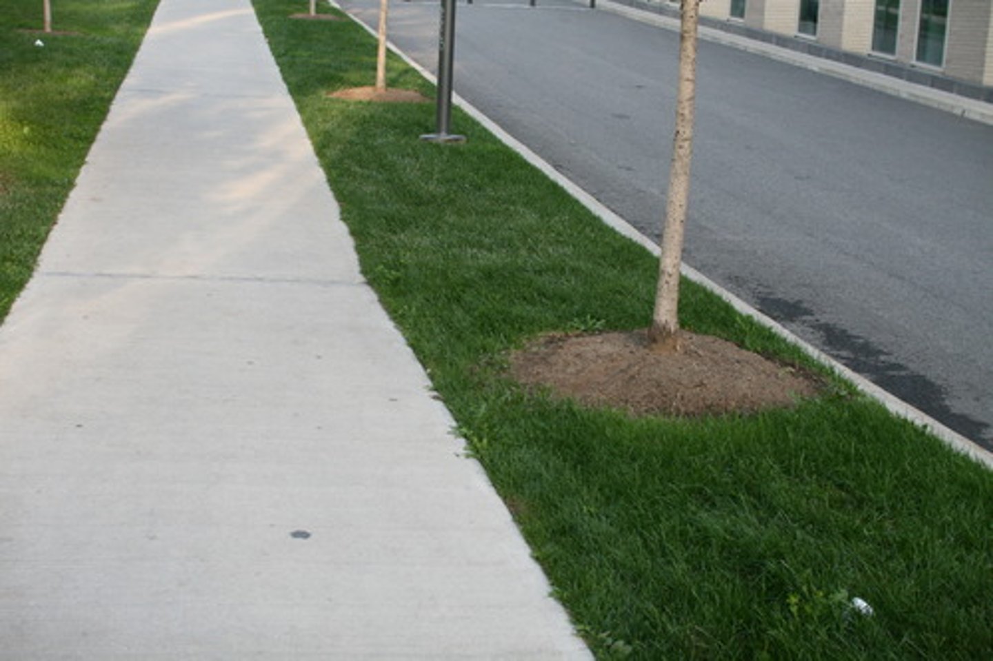 <p>sidewalk</p>