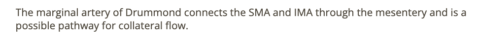 <p>d) connects SMA + IMA through mesenteric</p>
