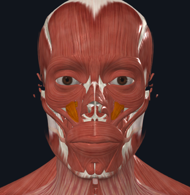 <p>Funkcija&nbsp;</p>