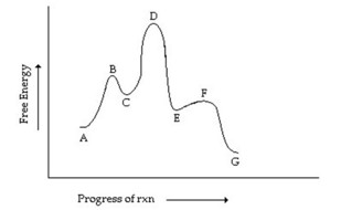 <p>Consider the reaction coordinate diagram shown. Which step has the greatest activation energy in the forward direction?</p><p>A) A going to C</p><p>B) C going to E</p><p>C) E going to G</p><p>D) E going to C</p><p>E) C going to A</p>