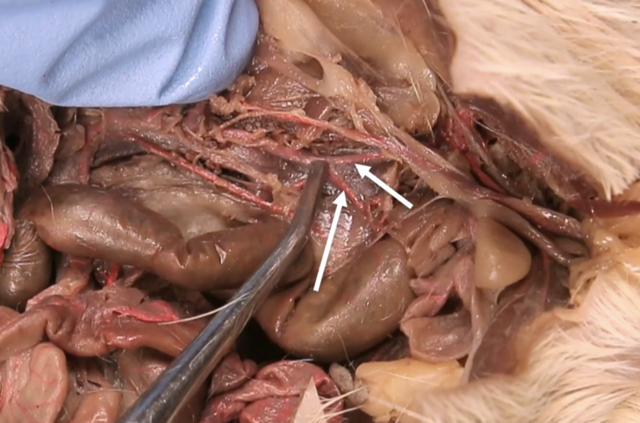 <p>What is this?</p>