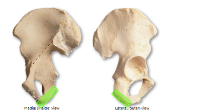 <p>What is this?</p>