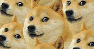 DogGo