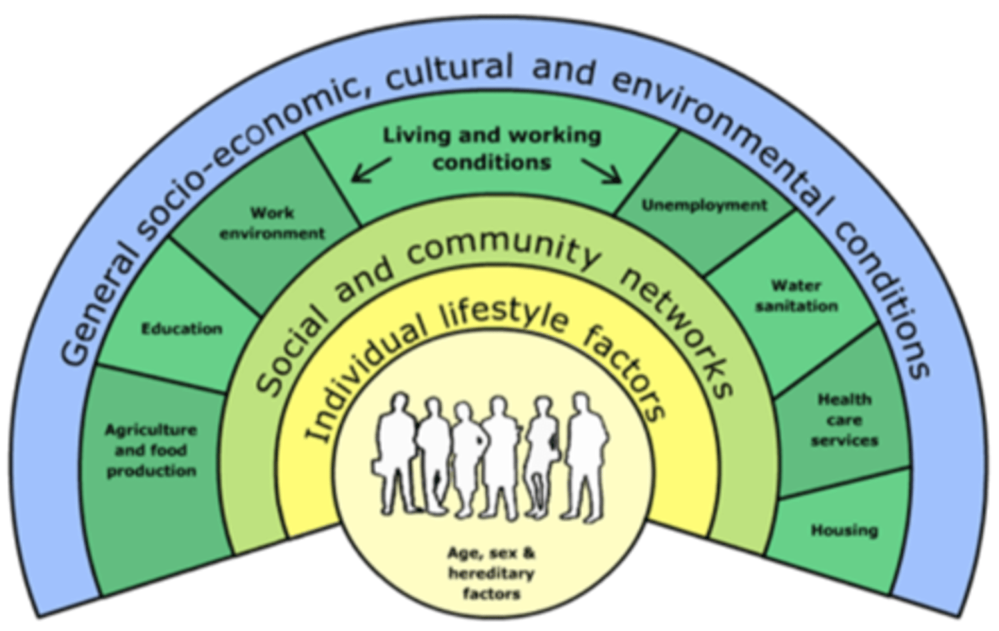 <p>Level 1: age, sex, and heredity factors<br><br>Level 2: individuals lifestyle factors<br><br>Level 3: social and community networks<br><br>Level 4: general socio-economic, cultural, and environmental conditions</p>