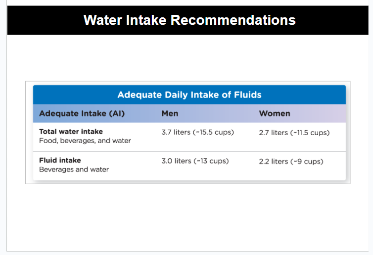 <p><strong><span>Water Balance in the Body</span></strong></p>