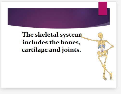 <p>bones, cartiladge, joints</p>