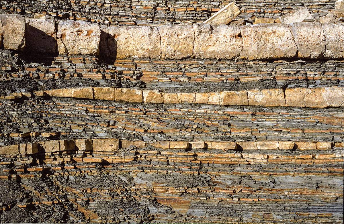 <p>Sediments are deposited horiontally. If layers are tilted/folded, that was after it was deposited.</p>