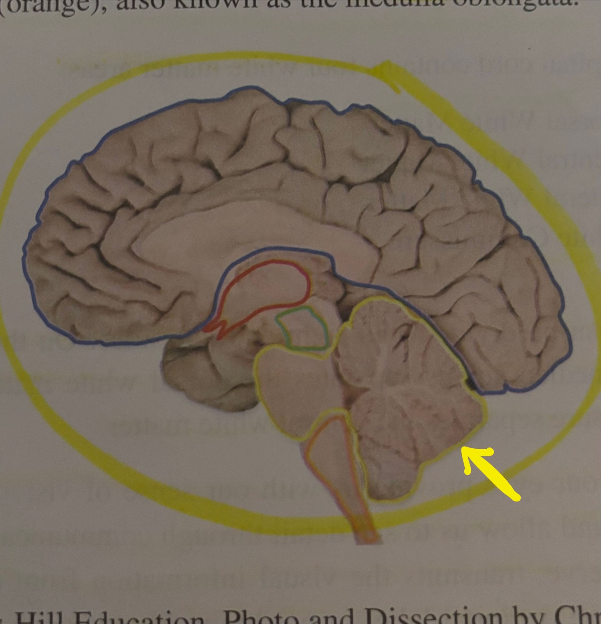 <p>What region is this?</p>