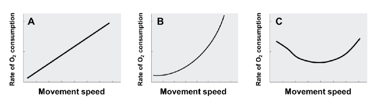 <p>In the image, which curve most likely represents an animal that swims for locomotion?</p>