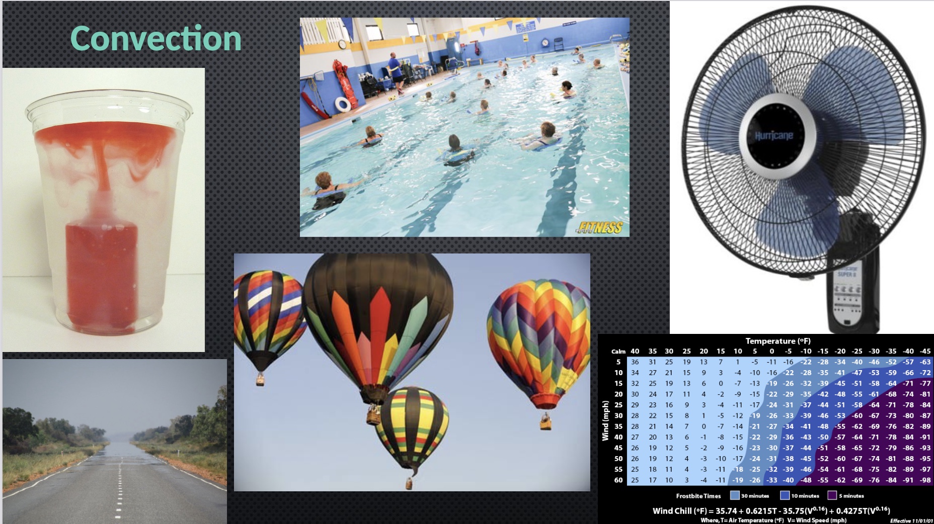 <p>-hot air raises</p>