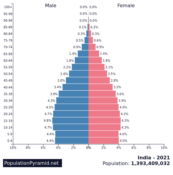 <p>population pyramid</p>
